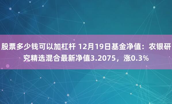 股票多少钱可以加杠杆 12月19日基金净值：农银研究精选混合最新净值3.2075，涨0.3%