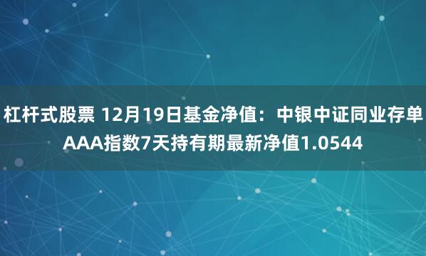 杠杆式股票 12月19日基金净值：中银中证同业存单AAA指数7天持有期最新净值1.0544